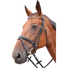 Képtalálat a következőre: „angol”