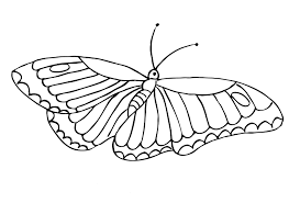 Three pretty printable butterfly writing paper pages to print for the kids to enjoy. Butterfly Coloring Pages For Kids 100 Images Print For Free