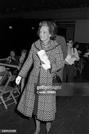 35 Jane Langley Stock Photos, High-Res Pictures, and Images