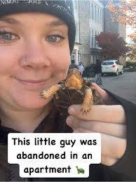 Yesterday was insane. We took in 12 “stray” dogs, recovered a box turtle 🐢  left abandoned in an apartment, tried to save a seizing dog with possible  distemper, tried to save a