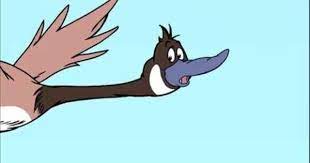 The Cat In The Hat Bird Migration Video Pbs Kids Pbs Kids Bird Migration Kids Shows