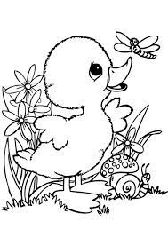 The sun is smiling, and baby too! Free Easy To Print Duck Coloring Pages Bird Coloring Pages Animal Coloring Pages Unicorn Coloring Pages