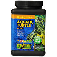 Maybe you would like to learn more about one of these? Exo Terra Floating Pellets Adt Aquatic Turtle Food Global Pets