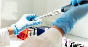 We did not find results for: Ancona Entra In Un Laboratorio Analisi E Chiede Di Fare Un Tampone Per Il Coronavirus Youtvrs