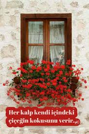 Guzel Sozler Anlamli Sozler Sevgi Sozleri 2020 Cicek Beautiful Instagram