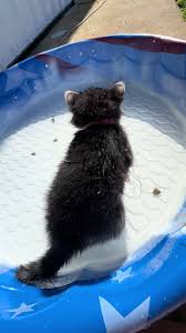 Emmylou out here livin her best life 🥰