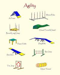 As an added bonus lay the course out in a way that makes intuitive sense, and don't crowd the obstacle course together. Agility Equipment By Brad A Thomas Dog Playground Dog Agility Course Agility Training For Dogs