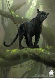 Here are all the the black panther in the jungle book answers. Michael Kutsche The Jungle Book Bagheera Concept