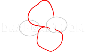 This article will describe five options for drawing a panda! How To Draw Hawaiian Flowers Step By Step Drawing Guide By Dawn Dragoart Com