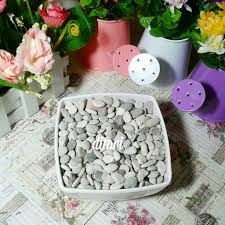 We did not find results for: Batu Hias Tanaman Bunga Plastik Artificial Batu Kerikil Koral Shopee Indonesia