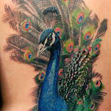 See more ideas about peacock tattoo, tattoos, peacock feather tattoo. Peacock Tattoos Tattoo Ideas Artists And Models