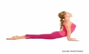 Printable Flashcard On Yoga Poses Free Flash Cards Yoga Poses Upward Facing Dog Pose Upward Facing Dog