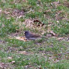 Profile for John Overman Photography