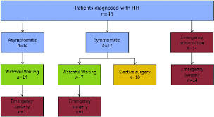 flowchart of treatment decisions at hiatal hernia hh