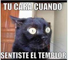 Viimeisimmät twiitit käyttäjältä meme ifşaları (@memeifsa). Temblor Asi Se Movieron Las Redes Sociales Este Sabado Vea Los Memes