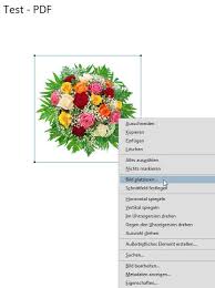 Free pdf to jpg converter we just wanted to offer a useful tool to the internet. Ein Bild In Eine Pdf Datei Einfugen Jules Tipps Und Tricks Alte Version