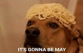 Noodle Dog It S Gonna Be May Super Funny Memes Funny Dog Texts Funny Animal Jokes