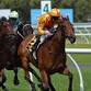 Ellis Park Racing & Gaming