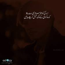 Attitude poetry in urdu 2018. The 40 Best Attitude Shayari In Urdu 2 Lines Exlazy