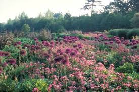 Piet Oudolf View Of Wisley Garden Royal Horticultural Society Woking1 Dutch Gardens Landscape Landscape Design