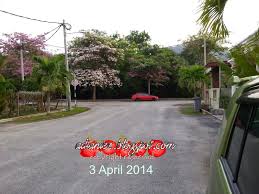 We did not find results for: Yahooooo Musim Bunga Di Bukit Katil Terasa Mcm Di Jepun La Pulak
