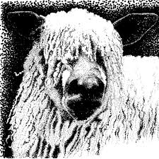 We did not find results for: Animal Ink Drawings Home Facebook