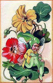Pin On Arte Flores