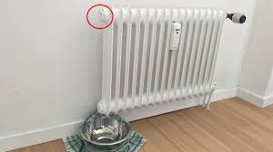 Umso wertvoller sind nachfolgende tipps, denn sie helfen euch, euer haus und eure wohnung warm zu halten. Heizung Entluften Wenn Der Heizkorper Nicht Warm Wird So Geht S Utopia De