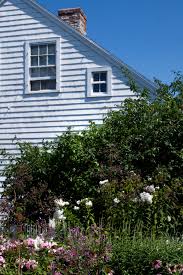 Explore more searches like cape cod flowers. 10 Garden Ideas To Steal From Provincetown On Cape Cod Gardenista