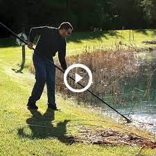 A lily pad sits on a pond. Lily Pad Removal At The Pond Guy