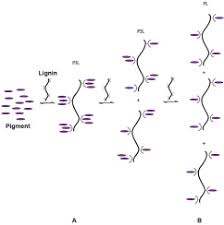 The car inspection sticker on the windshield of your car will expire on the last day of the month. Colour Modulation Of Blue Anthocyanin Derivatives Lignosulfonates As A Tool To Improve The Water Solubility Of Natural Blue Dyes Sciencedirect