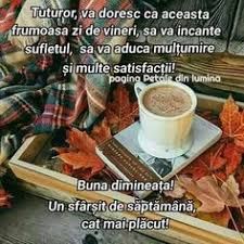 Ce veti face, cat timp veti. 71 Sfarsit De Saptamana Ideas BunÄ DimineaÈa Pitulice Citate De DimineaÈÄ