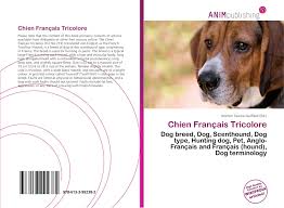 Drooling is the unintentional saliva flowing outside of the mouth. Chien Francais Tricolore 978 613 3 99238 2 6133992387 9786133992382