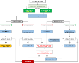 Systematic Review Of Studies That Have Evaluated Screening