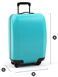 Checked In Baggage Information Air New Zealand