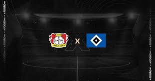bayer leverkusen hamburgo 16/05/2026