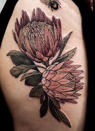Pin By Chloe Nolan On Proteas Botanical Tattoo Tattoos Flower Tattoos