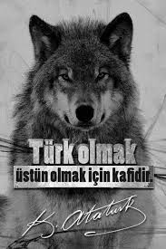 Tahir Can Adli Kullanicinin Yazilar Panosundaki Pin 2020 Turkler Havacilik Sozleri Bayrak