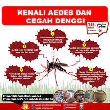 Terdapat dua jenis nyamuk aedes: Jabatan Kesihatan Negeri Pahang Mengapa Nyamuk Aedes Ini Sangat Merbahaya Dan Mengapa Kempen 10 Minit Hapuskan Aedes Setiap Minggu Sangat Dititikberatkan Kepada Semua Masyarakat Kitaran Hidup Nyamuk Aedes Daripada Telur Menjadi