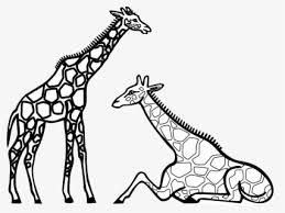 Maybe you would like to learn more about one of these? Free Giraffe Black And White Clip Art With No Background Clipartkey
