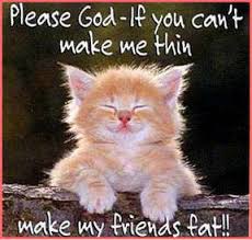 A cat has beauty without vanity, strength. Cat Images With Shayri Lovesove Com