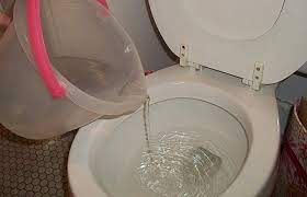 Never flush anything other than toilet paper and waste down your toilet. How To Manually Flush Toilet Without Running Water Handle Or Broken Chain Toiletseek