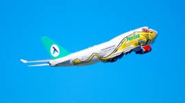 Image result for Azzurro Tirreno 1992 Fleet