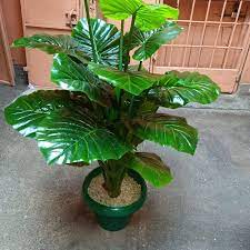 Artificial flowers for sale in nairobi. Artificial Plants Flowers Wedding Accessories Room Decorations Home Facebook