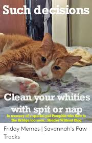 Meme generator net at last. Such Decisions Clean Your Whities With Spit Or Nap In Memory Of A Special Pal Pumpkin Who Flew To The Bridge Too Soonreader Without Blog Friday Memes Savannah S Paw Tracks