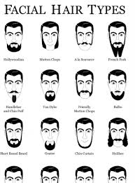 Swissmiss Expanded Beard Type Chart Types Of Beards Mens Facial Hair Styles Types Of Facial Hair