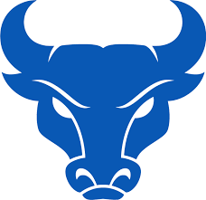 Buffalo Bulls Buffalo Bulls Bull Painting Taurus Logo
