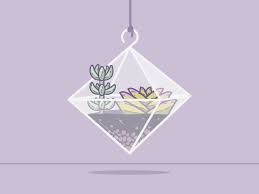 Terrarium Diamond Terrarium Diamond Design Diamond