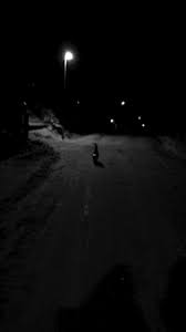 My Gif Gif Kitty Cat Snow Funny Cute Adorable Time Night Kitten Dark Nature Cat Gif Norway Cute Cat Adorable Cat Kitty Scary Cat Cat Problems Eyes In The Dark