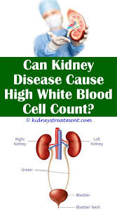 Kidney Disease Awareness Children Kidney Disease Symptoms Polycystic Kidney Disease Kidney Transplant